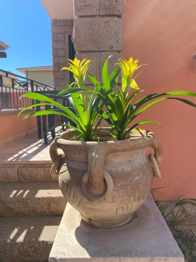 ألغيرو Villa Marogna المظهر الخارجي الصورة